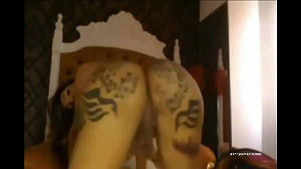 Ebenholz-Tranny mit tätowiertem Arsch twerkt und chillt (sie ist A 10)