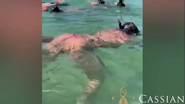 F&eacute_rias e compilado de doggstyle pra quem adora comer minha bunda