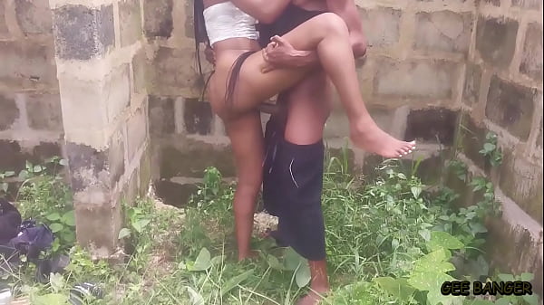 Recopilación de estilo perrito al aire libre